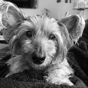 Meet your Posher, Celina